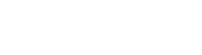 logo light